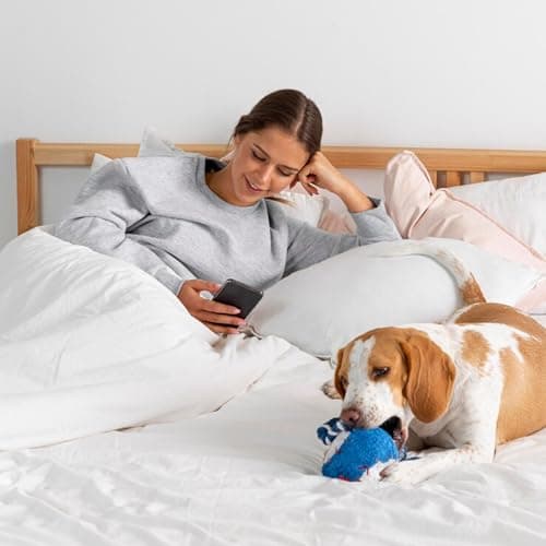 Yuurom Queen Fitted Sheet Only, Corner Straps Ultra Soft Brushed Microfiber Hotel Quality Bottom Sheet, Deep Pocket Fits 8-14 inches Mattresses, Luxury Durable Sheets for Queen Size Bed, White 8