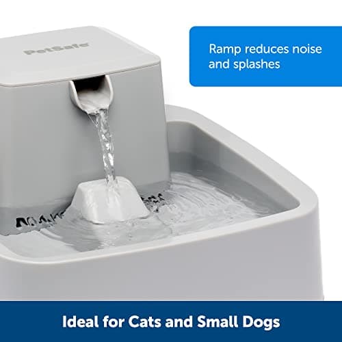 PetSafe Oasys 1/2 Gallon Pet Fountain - Cat & Dog Hydration Station with Free-Falling Water Stream & Customizable Flow - Encourages Hydration & Protects Sensitive Whiskers - 1/2 Gallon 4