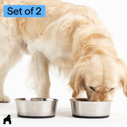 GORILLA GRIP Dog Bowls, Food Grade 304 Stainless Steel, Holds 2 Cups Each (16 fl oz) Food and Water Bowl for Feeding Dogs and Cats, Dishwasher Safe, Rust Resistant, BPA Free Rubber Base Set of 2 Black 7