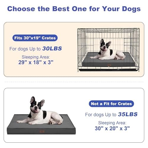Tail Stories Outdoor Orthopedic Dog Bed for Medium Dogs & Cats, Waterproof Flat Pet Mat with Egg Crate Foam & Washable Removable Oxford Cover, 30x20 Inch, Grey 6