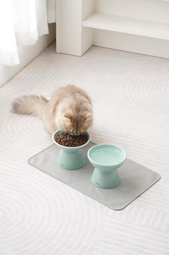 Seyatoo 2 Elevated Cat Food Bowl with Silicone Cat Mat, Raised Cat Bowls for Cat Small Dog Food and Water Bowl, Wide Whisker Friendly Cat Dish, Green