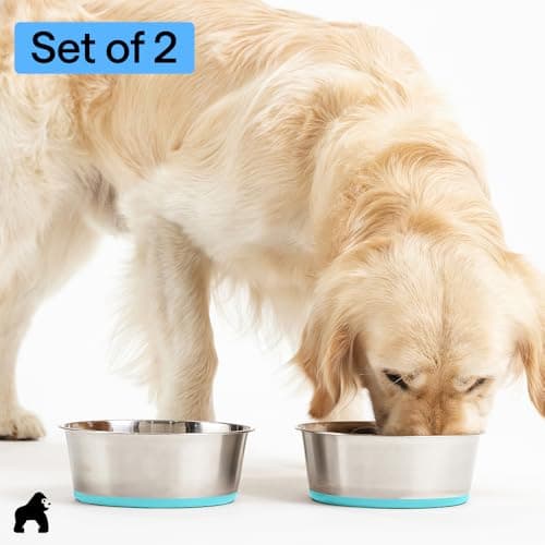 GORILLA GRIP Dog Bowls, Food Grade 304 Stainless Steel Holds 2 Cups Each (16 fl oz) Food and Water Bowl for Feeding Dogs and Cats Dishwasher Safe Rust Resistant BPA Free Rubber Base Set of 2 Turquoise 7