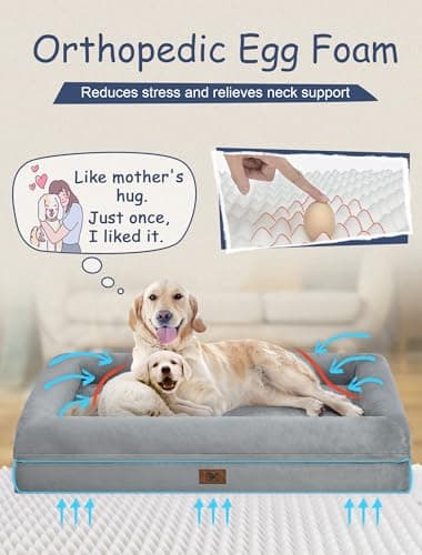 Song Puppy Orthopedic Dog Bed for Large Size Dogs, Waterproof Dog Beds with 4-Sides Removable Bolster, Large Pet Beds Non-Slip Bottom Pet Couch with Removable Washable Cover, Gray 2