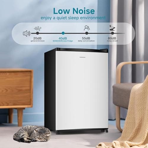 BANGSON 3.0 Cu.ft Compact Upright Freezer, Energy-Saving Mini Freezer with Ultra Low Power 40W & Adjustable Thermostat, Removable Shelves, Reversible Door, Ideal for Dorm/Office/Apartment, Silver 5