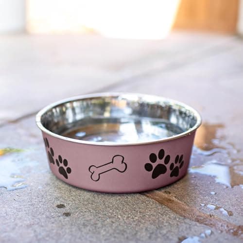 Loving Pets Bella Dog Bowls- Stainless Steel Dog & Cat Bowls - Spill Proof Dog Food Bowl, Cat Bowl, Puppy Essentials & Pet Supplies Great for Home & Travel (Medium 20-35 lbs, Grape) 6