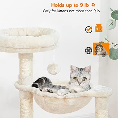 HOOBRO Small Cat Tree Tower with Luxury Condo, Basket Hammock for Indoor Kittens with Scratching Posts, Kittens Pet Activity Tree, Beige BE07CT03 5