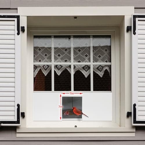 JOYSEUS Window Bird Feeder, 180° Clear View Bird Feeder, Durable and Elegant in-Window Bird Feeder for Watching Birds - Embrace The Delight of Bird Feeder. 8