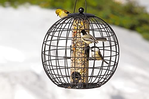 Gardener's Supply Company Globe Cage Bird Feeder | Outdoor Sturdy and Squirrel Proof Hanging Cage | Best for Finches Hummingbirds Nuthatches and Other Small Birds - Holds 3 Cups of Seeds 8