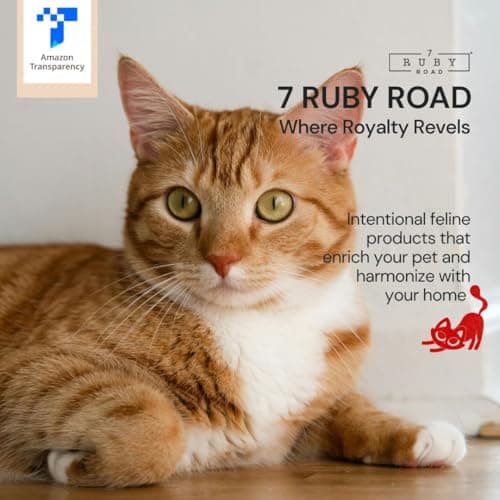 7 Ruby Road Anti Whisker Fatigue Cat Bowl, Set of 2 - Wide Food Bowls, Wet and Dry Shallow Food Dish, Small Cat Dishes for Indoor Cats, Cute Kitten Bowls Whisker Friendly & Relief, Non-Slip Plates 8