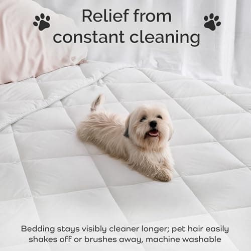 Bamtek 100% Viscose Derived from Bamboo Comforter, Cooling Comforter, Duvet Insert, Breathable, Extra Fluffy, Lightweight Comforters, Queen Size 9