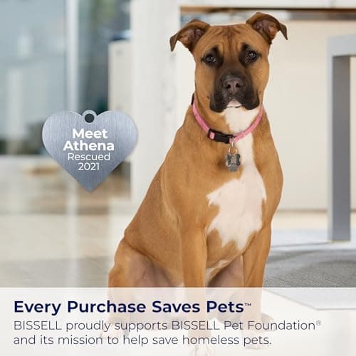 BISSELL TurboClean Pet XL Upright Carpet Cleaner, Upholstery Tough Stain Tool & Formula included, 3746 7