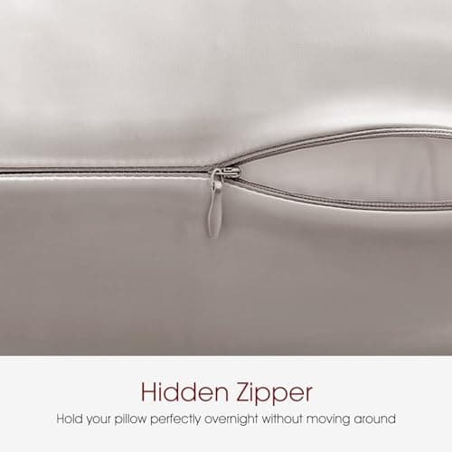 WLOSJ 100% Silk Pillow Cases 2 Pack Queen Size Mulberry Silk Pillowcase for Hair and Skin Set of 2 Highest Grade 6A Silk Soft Breathable Cooling with Hidden Zipper, Grey 5