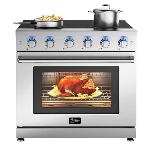 CT Copper Tailor 36 Inch Electric Range with Convection Oven,6.0 cu. ft. Capacity,5 Cooktop Elements, Freestanding Oven, in Stainless Steel