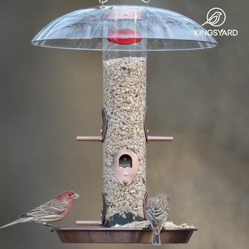 Kingsyard Metal Bird Feeders for Outdoors Hanging, Wild Bird Feeder for Finch Cardinal, Large Tray and Rainproof Dome, 2 lbs Seeds Capacity (Antique Copper) 8