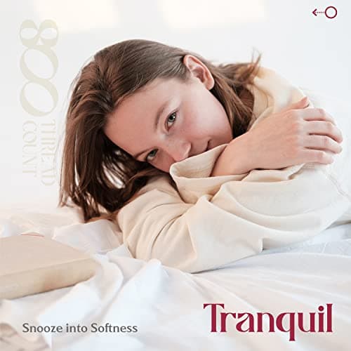 Mayfair Linen Pillow Cases Queen Size Set of 2-800 Thread Count 100% Egyptian Cotton Pillow Cases Standard Size, Silky Soft, Sateen Weave Luxury Hotel Bed Pillow Covers for Sleeping - Light Blue 7