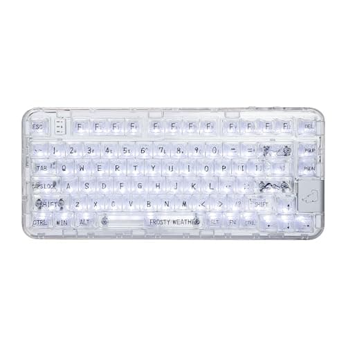 CoolKiller CK75 Transparent Mechanical Keyboard, Rechargeable Wireless Gaming Keyboard with RGB Backlit, Hot Swappable, Gasket Structures for Windows/Mac, 75% Design (White, Ice Tactile Switches)