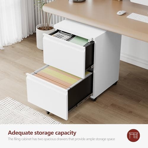 RAVIGIN 2 Drawer File Cabinet，Mobile Filing Cabinet with Lock and Wheels，Fully Assembled Metal Under Desk File Cabinets for A4/Letter/Legal Size（White 6