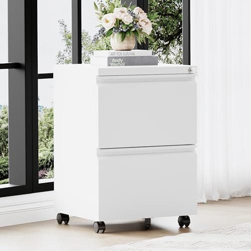 RAVIGIN 2 Drawer File Cabinet，Mobile Filing Cabinet with Lock and Wheels，Fully Assembled Metal Under Desk File Cabinets for A4/Letter/Legal Size（White 8