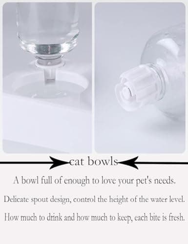 Marchul Double Cat Bowls, Elevated Pet Food and Water Bowl Set, 15° Tilted Raised Double Bowls for Indoor Cats, Small or Medium Sized Dogs 6