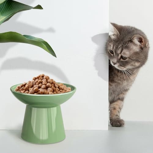 SUNQEBO Elevated Cat Bowls, Raised Cat Bowl for Indoor Cats, Set of 2 Prevent Whisker Fatigue Pet Food Water Small Dog Feeding Bowl, Anti Vomiting Protect Kitty Spine (Ceramic, Light Green) 7