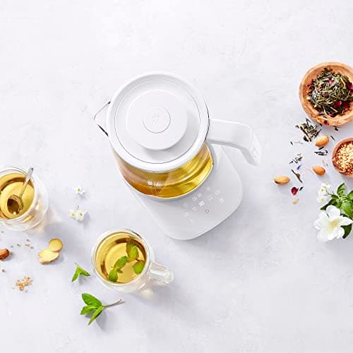 ZWILLING Enfinigy Glass Kettle, Tea Kettle, Silver 6