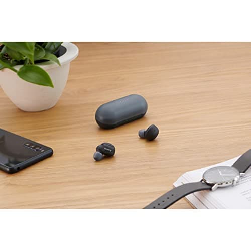 Sony WF-C500 Truly Wireless In-Ear Bluetooth Earbud Headphones with Mic and IPX4 water resistance, Black 8