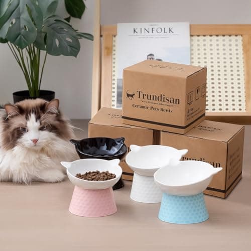 Ceramic Raised Cat Bowl with Stand and Bow Tie, Tilted Elevated Anti-Vomit Cat Dish for Whisker Relief, Microwave & Dishwasher Safe, Cute Pet Food Bowl for Cats and Small Dogs (Pink) 6