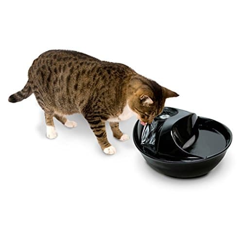 Pioneer Pet Raindrop Fountain, Pet Drinking Fountains (60 oz., White Ceramic) 3