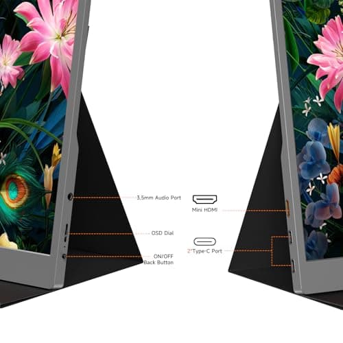 AYY Portable Monitor 15.6inch 1080P FHD, USB-C HDMI Computer Display, HDR IPS Gaming Monitor w/Premium Smart Cover & Screen Protector, Dual Speakers, for Laptop PC MAC Phone PS4 Xbox Switch, Grey 5