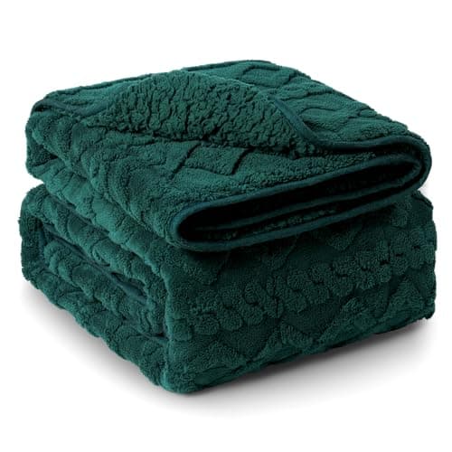 Kaisa Weighted Blankets for Adults 15 lbs 60"x80" Queen Size, Reversible Double Sided Fleece Plush Sherpa Jacquard Weighted Blanket for Pressure Relief, Cozy Fluffy Shaggy Knitted Heavy Blanket, Green