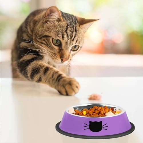 Serentive 2 Pcs Non-Slip Stainless Steel Small Cat Food Bowls - Unbreakable, 7 Oz, Suitable for Indoor Small Pets - Removable Rubber Base, Easy to Clean, Lovely Color 6