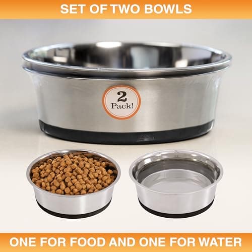 Neater Pet Brands Stainless Steel Dog Bowls with Non-Slip Rubber Bottom – 2 Cup (16 oz), Black - Set of 2 Heavy Duty Metal Dog Bowls, Dishwasher Safe, Food or Water Bowl, Ideal for Small Dogs & Cats 7