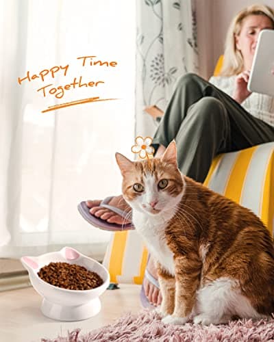 Raised Cat Food Bowl Ceramic 15° Tilted Cat Food Bowls Protect Cat's Spine Anti Vomiting Backflow Prevention Bowls for Adult Kitty, Kitten, and Small Dogs, Pink 6