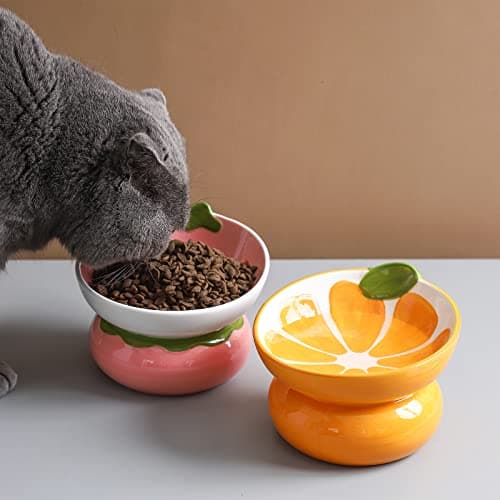 Yeexoxow Ceramic Raised/Elevated Cat Food Bowl for Indoor Cats, Anti Vomiting & Protect Pet's Spine, Cute Fruit Themed Tilted Cat Dish for Flat Faced Cats and Kitten (Orange Shaped) 5