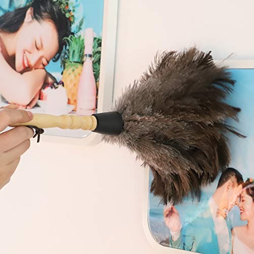 Midoneat Natural Gray Ostrich Feather Duster,2 Packs,Car Duster Interior/Exterior Cleaner, Cleaning for Blinds Kitchen Keyboard Office, Smart and Soft and Fluffy (Gray) 7