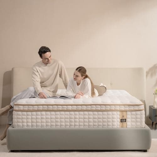 AN Adamant Noyau 12 Inch Queen Size Mattresses in a Box,Memory Foam Hybrid Mattress,with Individual Pocket Spring for Motion Isolation & Silent Sleep&Lumbar Support & Pressure Relief, Firm