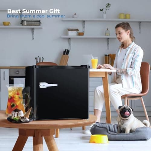 R.W.FLAME Mini Small Freezer Upright, 1.2 Cu.ft Portable Compact Freezers, Adjustable Thermostat, Low Noise, Perfert for Countertop/Under Counter/Bedroom/Home/Dorms/Apartment/Office (Black) 7