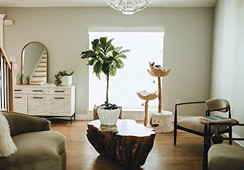 Modern Cat Tree Tower, Real Branch luxury Cat Condo, Wood Cat Tower, Cat Scratching Tree, Cat Condo, Cat Lover Gift, Luxury Cat, Cat Gifts by Mau Lifestyle 7