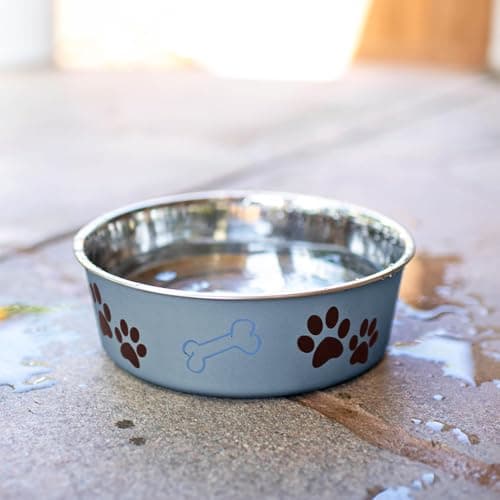 Loving Pets Bella Dog Bowls- Stainless Steel Dog & Cat Bowls - Spill Proof Dog Food Bowl, Cat Bowl, Puppy Essentials & Pet Supplies Great for Home & Travel (Medium 20-35 lbs, Blueberry) 6