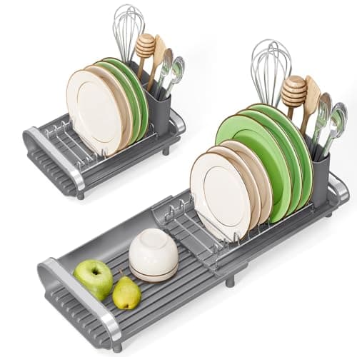 TOOLF Small Dish Drying Rack, Mini Expandable Compact Dish Rack, Slim Extendable Stainless Steel Dish Drainer for Kitchen Plate Storage, Space Saving Dish Strainer in Sink or on Home Countertop, Gray