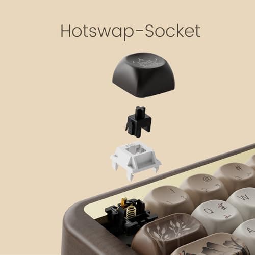 Akko Mechanical Gaming Keyboard with Walnut Wooden Case, MU01 Mountain Seclusion 65% 68-Key RGB 2.4G Wireless/Bluetooth/Wired Hot-swappable Keyboard with PBT Dye-Sub Keycaps for Mac & Win 5