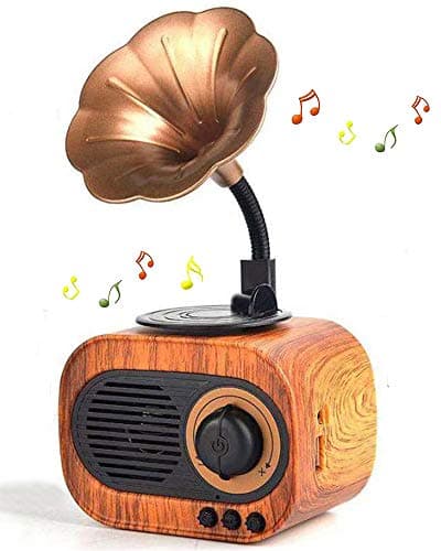 BGJOY Retro Music Speaker Vintage Wireless Portable Outdoor Speakers Loud Stereo Sound Rechargeable Speaker Built in Mic Support Answering Calls USB TF Card AUX for Home Party Office