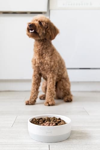 Pearhead Ceramic Bone Appétit Dog Bowl, Stoneware Food and Water Dish, Grey and White Pet Feeder, Small/Medium 2.25 Cups/ 18 oz 5