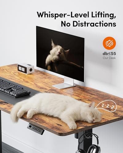 FEZIBO Electric Standing Desk, 48 x 24 Inches Height Adjustable Stand up Desk, Sit Stand Home Office Desk, Computer Desk, Rustic Brown 8