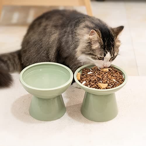 CEEFU 2 Elevated Ceramic Cat Bowls Extra Wide for Food & Water – Whisker Fatigue Shallow Food Dish, Lead & Cadmium-Free, Raised Height for Cats, Sage Green 7
