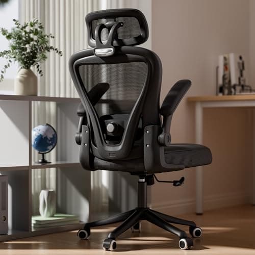SeekFancy Ergonomic Office Chair M903, Computer Desk Chair with Wheels, High Back Mesh Office Chair with Adjustable Lumbar Support, Headrest, Flip-Up Armrest, Black