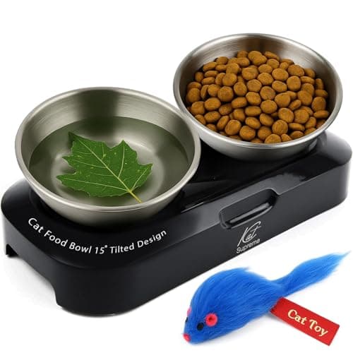Cat Food Bowl - KATSUPREME Cat Bowls for Indoor Cats | Set of 2 Stainless Steel Bowl, Tilted Bowls Elevated Anti Vomiting, Non-Slip Base, Ant Proof Food & Water.