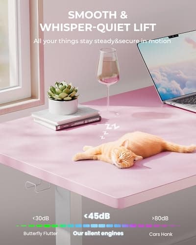 SIAGO Electric Standing Desk Adjustable - 48 x 24 Inch Sit Stand up Desk with Cable Management - 3 Memory Preset Adjustable Height Table 7