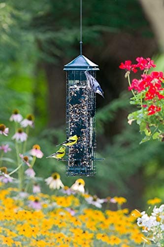 Squirrel Solution200 Squirrel-proof Bird Feeder w/6 Feeding Ports, 3.4-pound Seed Capacity, Free Seed Funnel 5