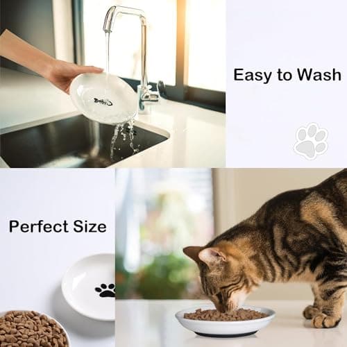 WROSWT Cat Food Bowl,Healthy Ceramic Cat Bowls for Indoor Cats,Anti Whisker Fatigue Cats Dishes Set,Shallow Wide Kitten Plates for Food and Water,Non-Slip Silicone Bottom,3 Pack 6